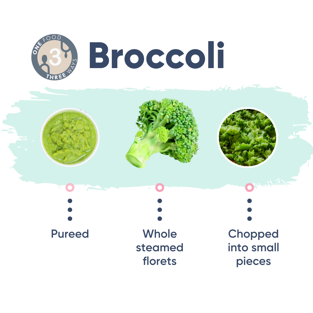 Broccoli prepared three ways: pureed, whole steamed florets, and chopped into small pieces.