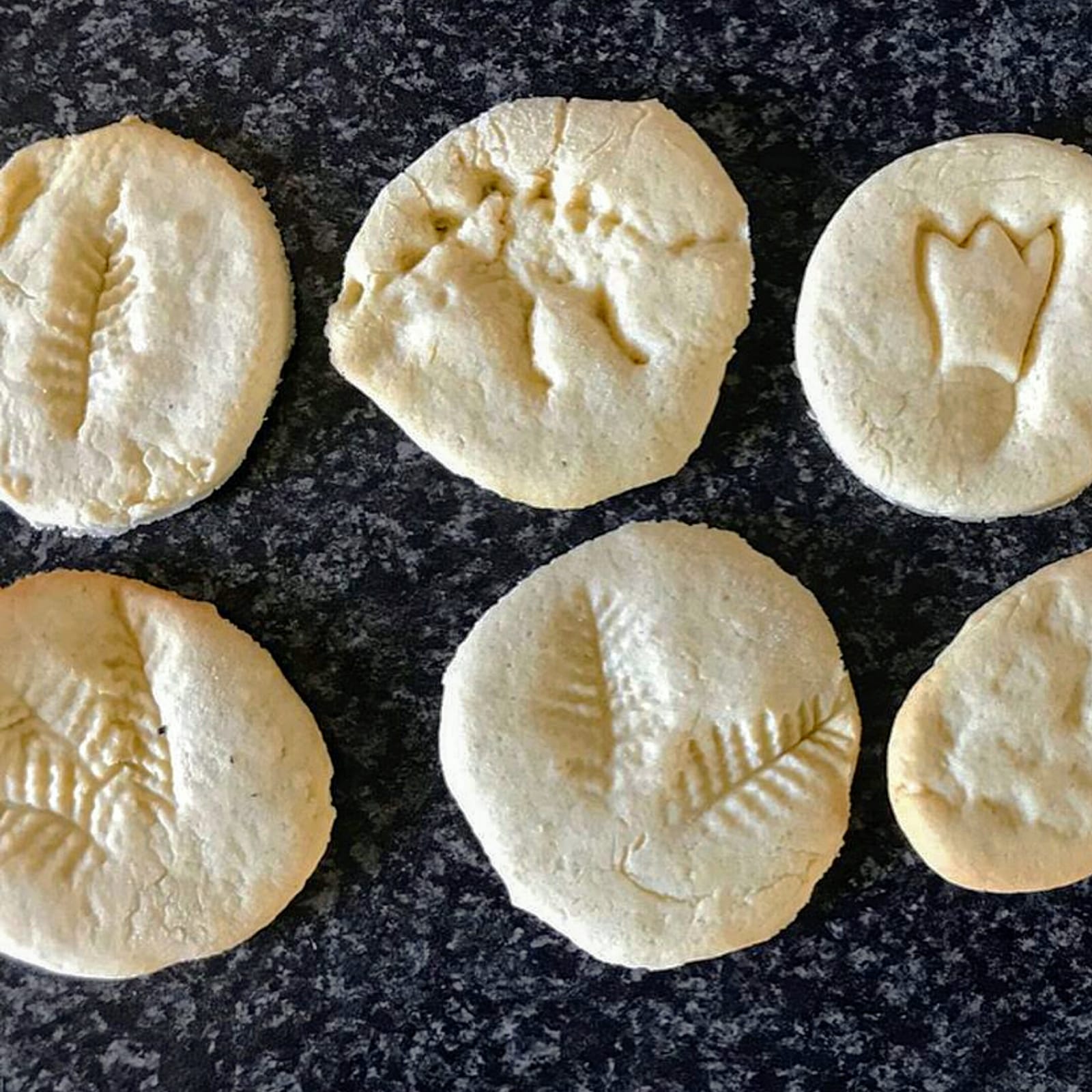 Pale, round biscuits with various dinosaur footprint and fern leaf impressions on a dark surface.