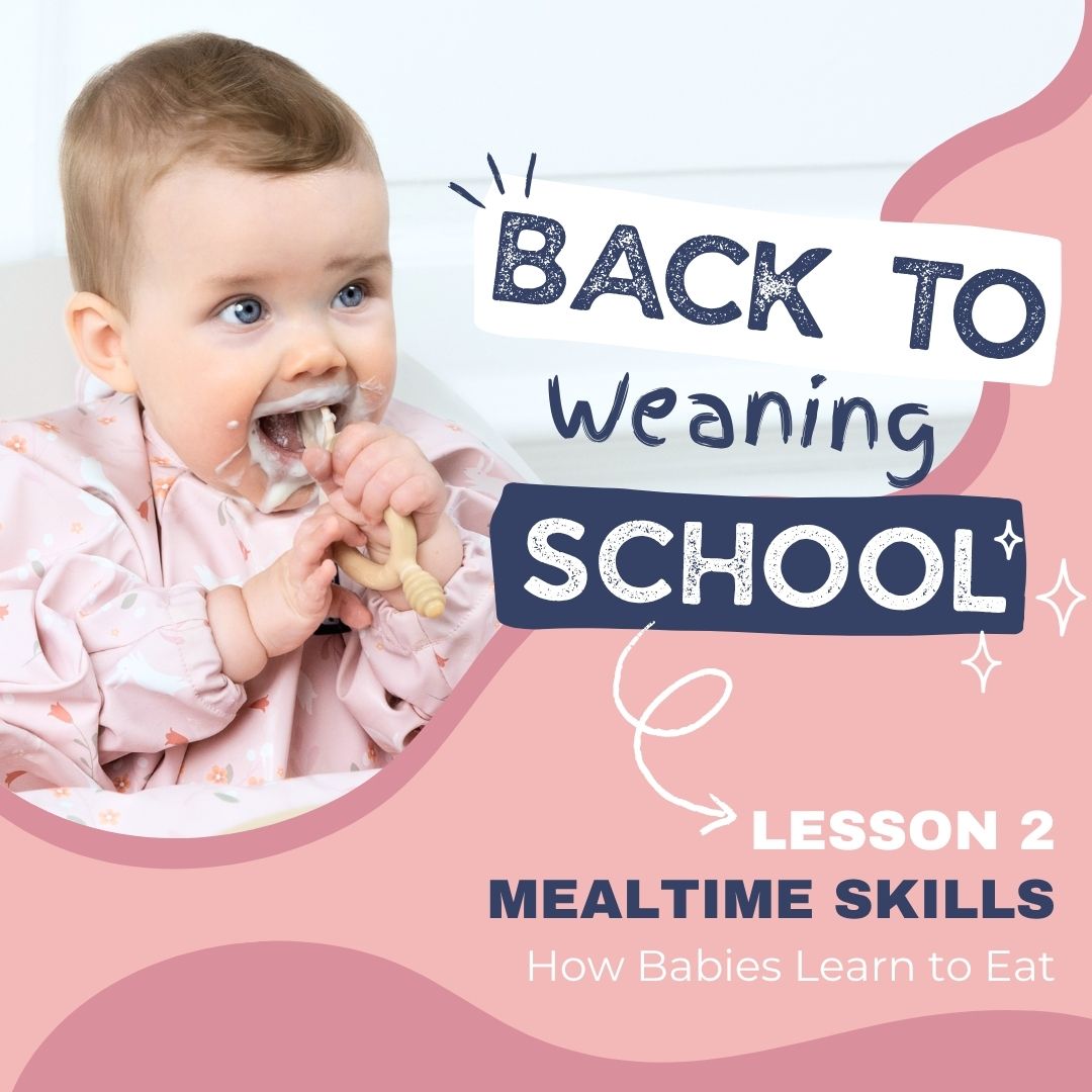 Mealtime Skills: How Babies Learn To Eat