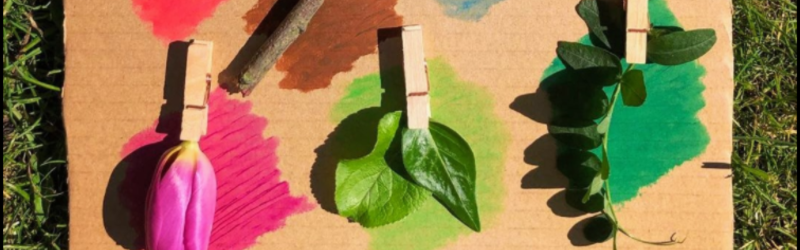 Nature's colours: a pink tulip petal, green leaves, and a brown stick pegged to painted cardboard.