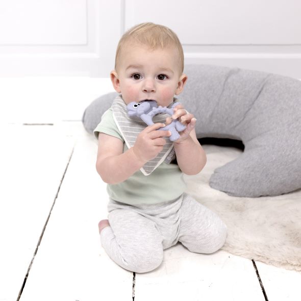 Dotty the Dinosaur™: Teething Toy - Product image