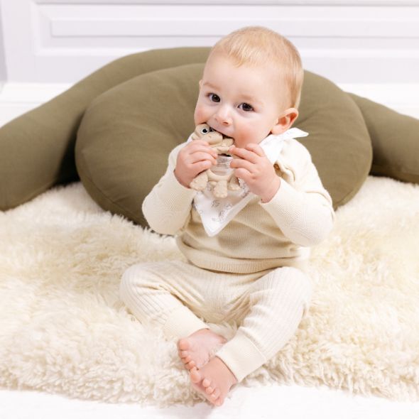 Dotty the Dinosaur™: Teething Toy - Product image