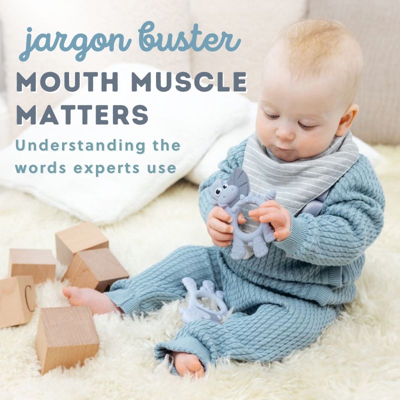 Mouth Muscle Matters: 10 Expert Words Demystified