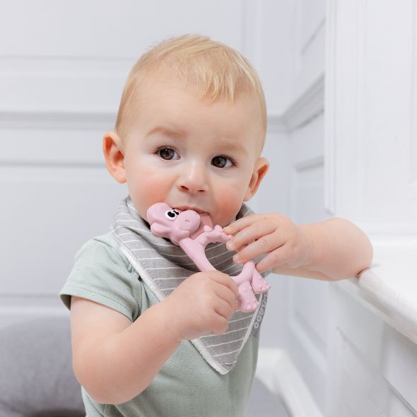Baby in a striped bib chewing on a pink dinosaur teether, preparing for weaning.