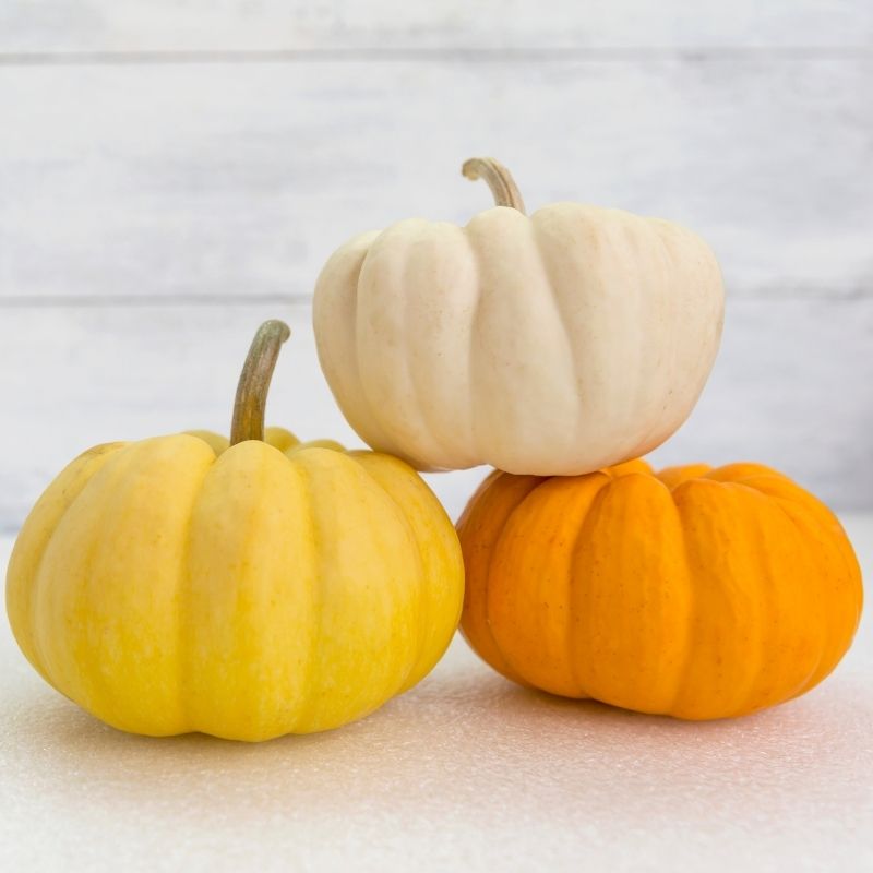 Three small pumpkins in white, yellow, and orange, stacked against a white wooden background.