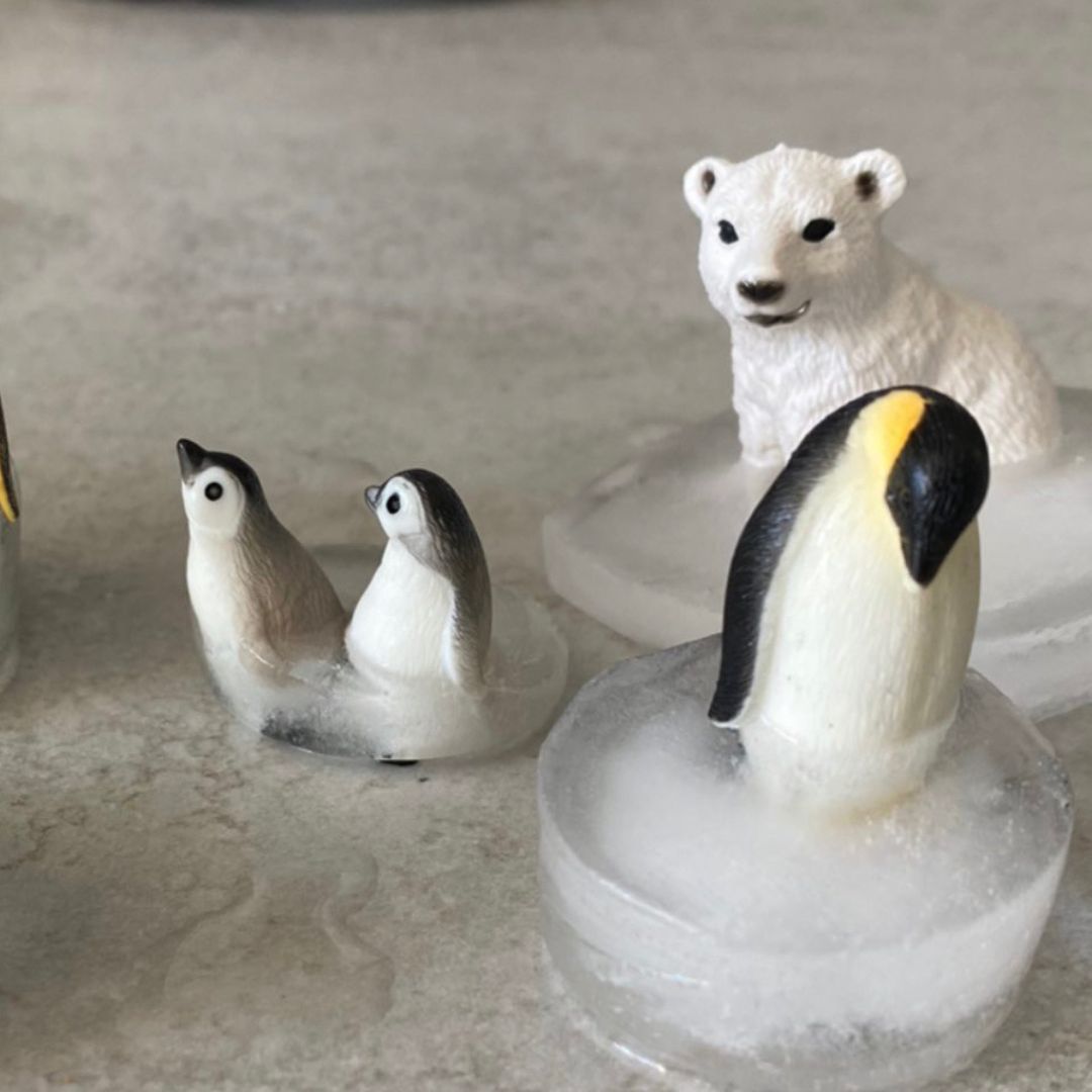 Toy penguins and a polar bear frozen in ice for sensory play.