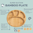 NEW Bamboo Suction Divider Plate