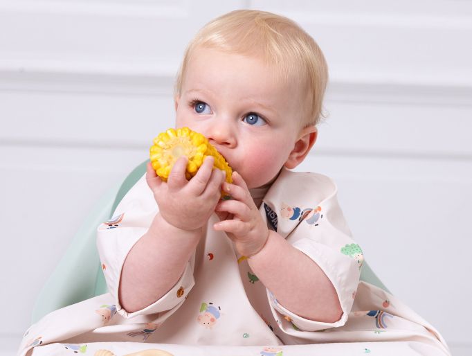 Blonde baby in a patterned, long-sleeved bib, eating a corn on the cob in a high chair. - image